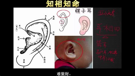 耳運年齡|耳相幾歲？揭開耳相學的奧秘與年齡與命運的關聯